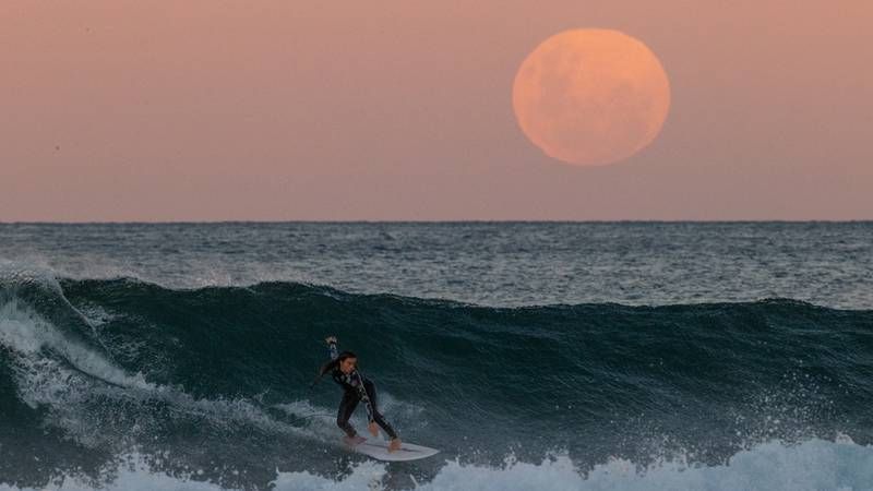 Surfer with full moon in background Surfer with full moon in background